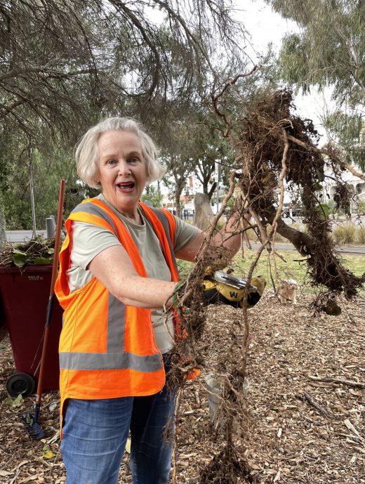 Regenerate! Project update