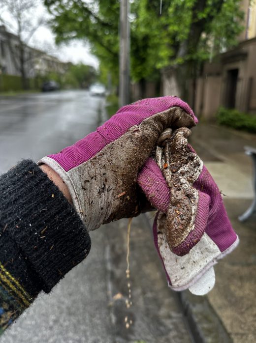 Regenerate! Project update