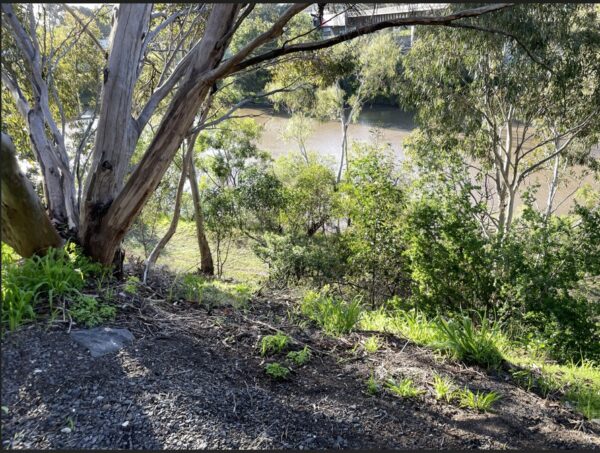 Birrarung Banks July 2026